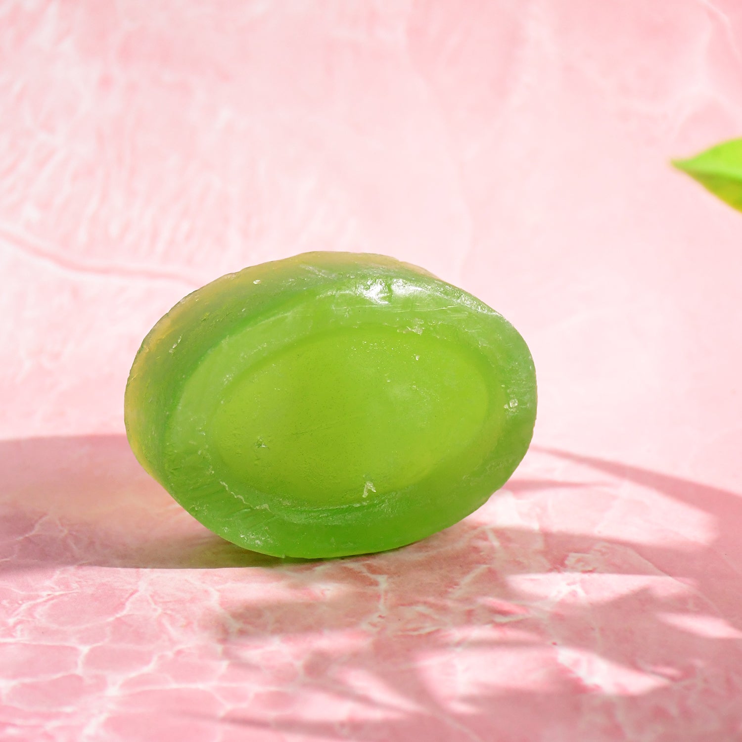 Doctor Chhoices / Choices Premium Aloe Vera Herbal Bath Soap (1 Pc) Doctor Chhoices / Choices Premium Aloe Vera Herbal Bath Soap (1 Pc)